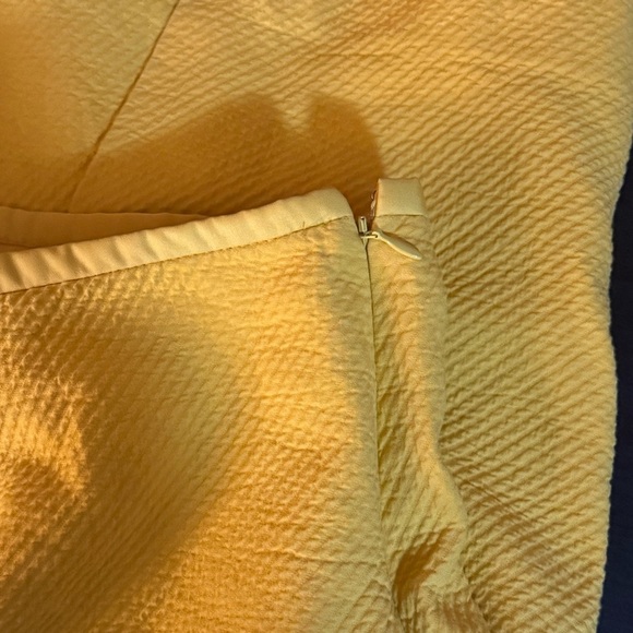 The Limited skirt - Picture 7 of 11